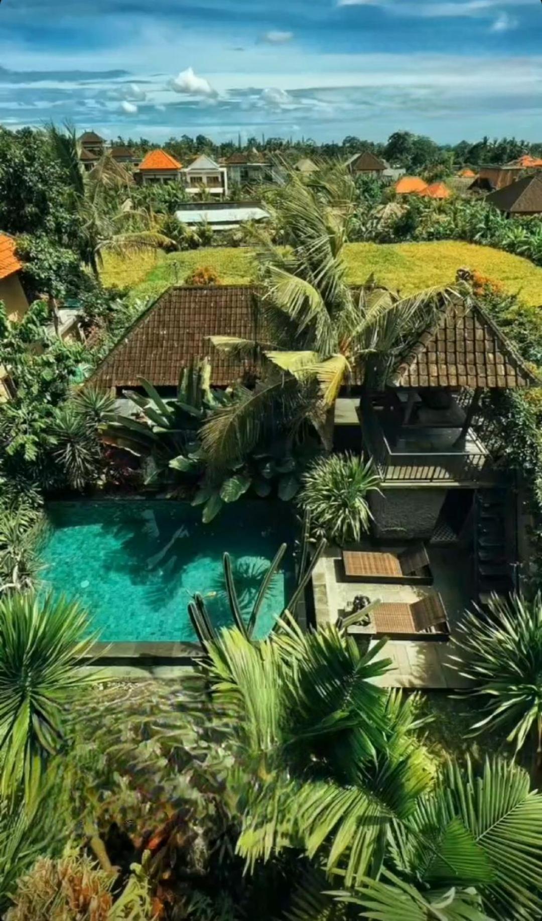 Buda Amitaba Ubud  Luaran gambar